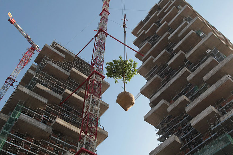 apartment-building-tower-trees-tour-des-cedres-stefano-boeri-20