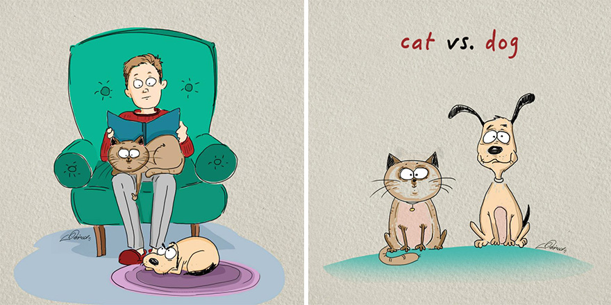 cats-vs-dogs-funny-illustrations-bird-born-1