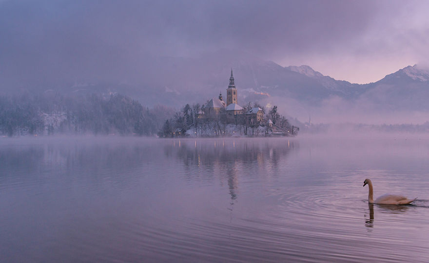 i-photographed-lake-bled-on-a-fairytale-winter-morning-3__880