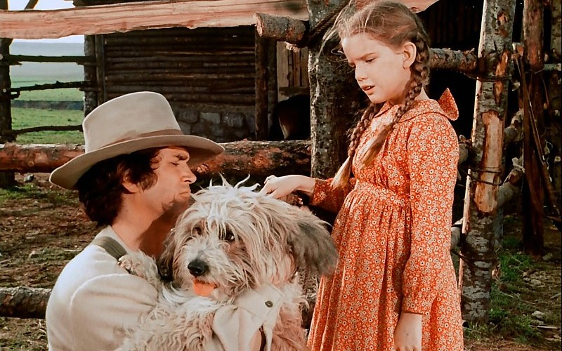 little-house-on-the-prairie-drama-family-romance-series-western-42-images-234221