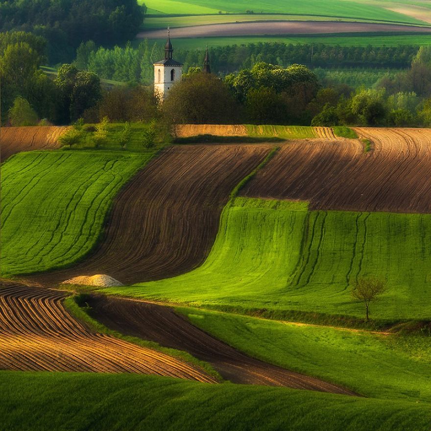for-20-years-ive-been-photographing-polands-fields-which-look-like-sea-waves-12__880