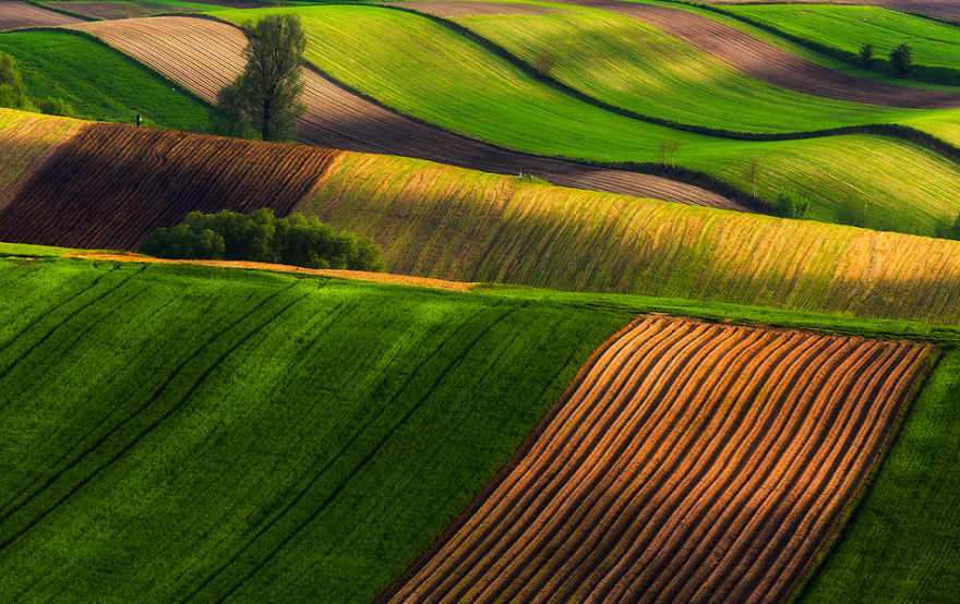 for-20-years-ive-been-photographing-polands-fields-which-look-like-sea-waves__880