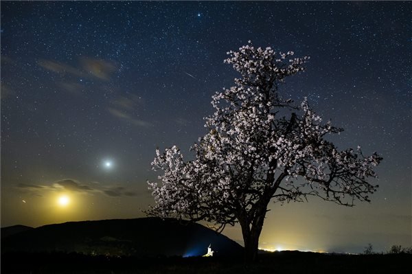 Lyrida meteorraj az égbolton a Medves-fennsík felett Salgótarján közelében 2015. április 21-én