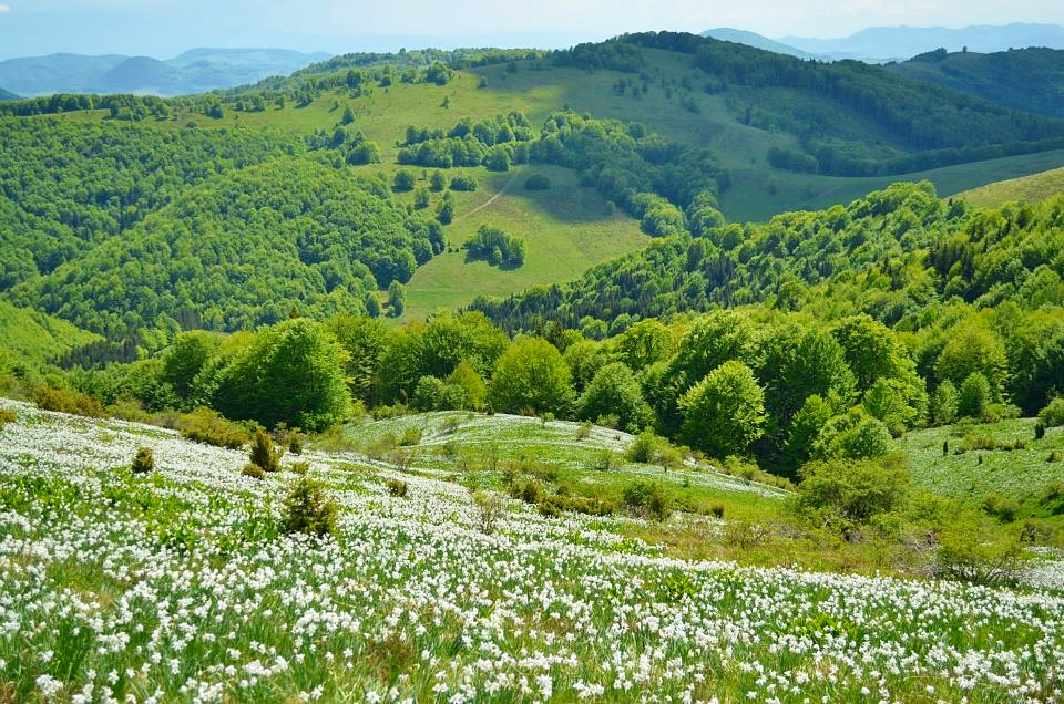 Fotó: traveltotransylvania.com