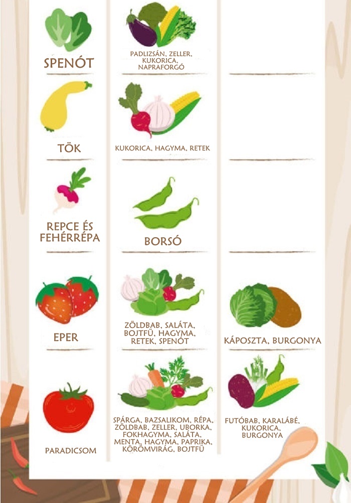 1463173582-1462900453-companion-planting-vegetable-best-friend-suggestions-infographic22323