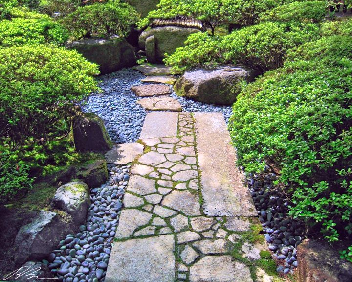 Fotó: japanise garden