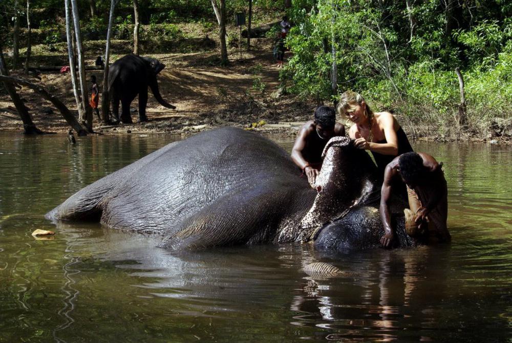 Elefántfürdetés Indiában