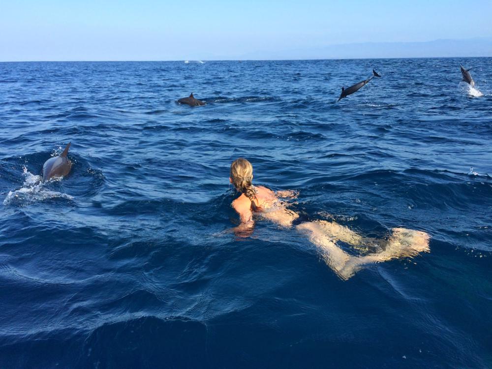 Úszás kétezer vad delfinnel Mexikó partjainál