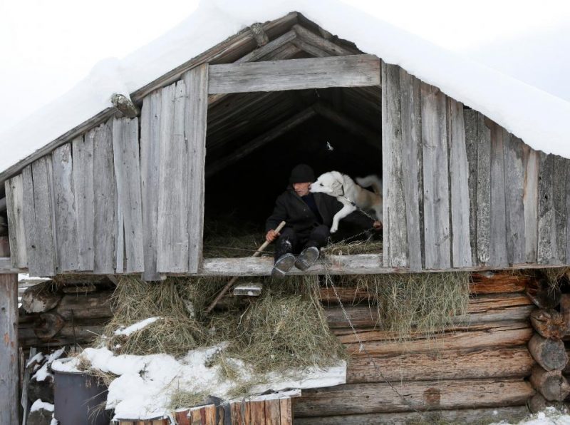 Baburin sits with his laika dog Sever on attic of shed at court yard of his house in remote Siberian village of Mikhailovka