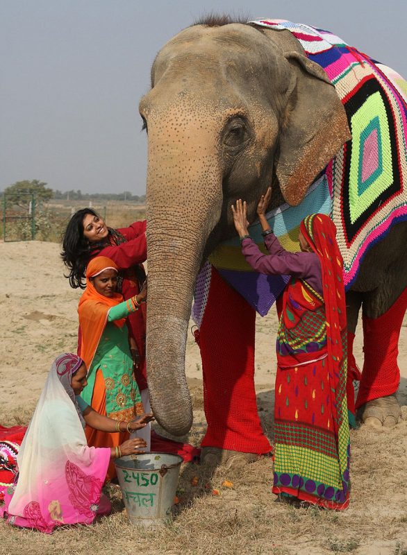 people-knit-giant-sweaters-rescue-elephants-5