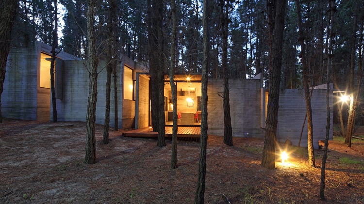 organic-house-in-the-middle-of-forest-10