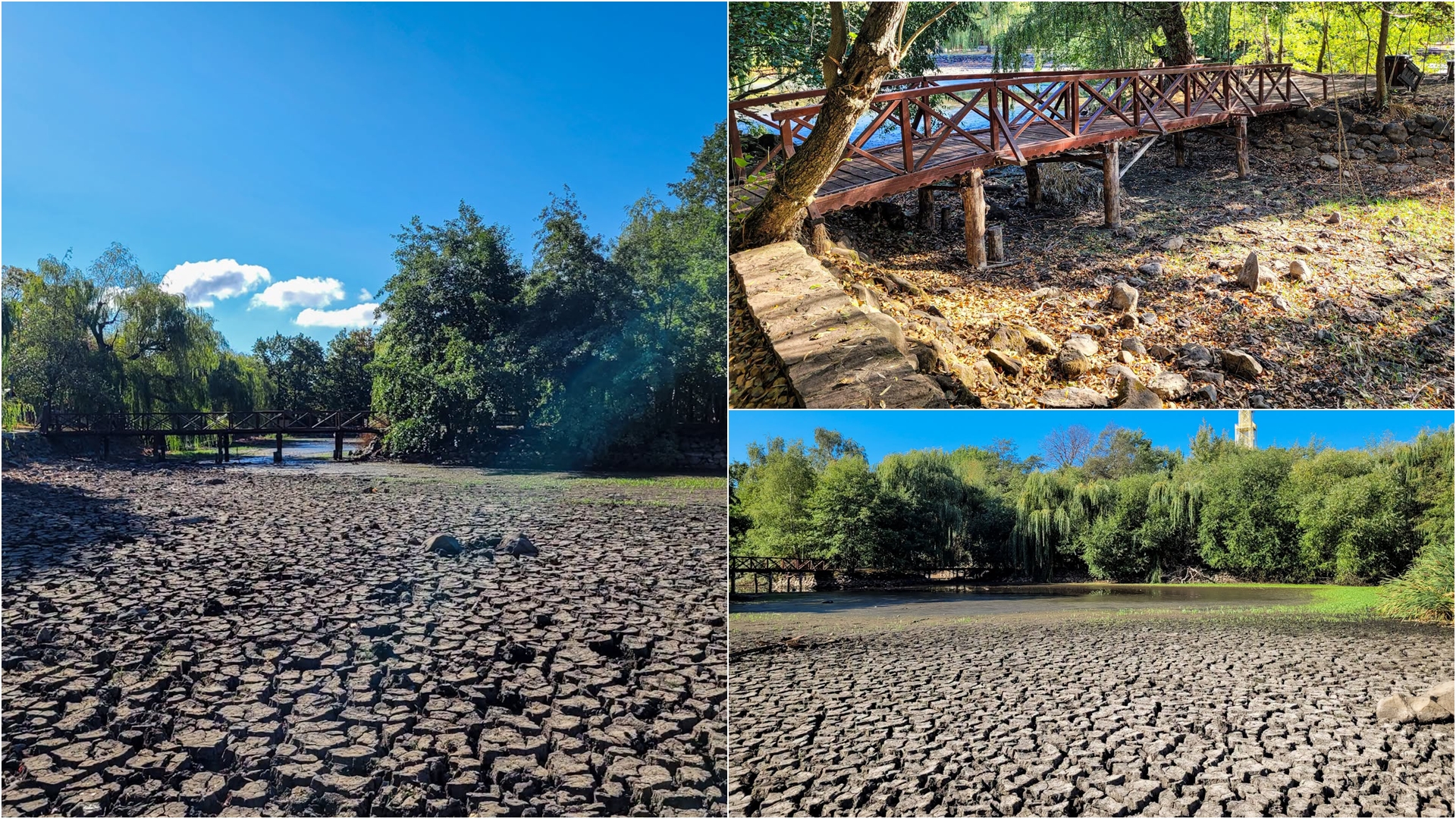 Collage of a sunny park: cracked dry riverbed, a wooden bridge, and lush trees by a riverbank.